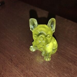 Little Yellow French Bulldog